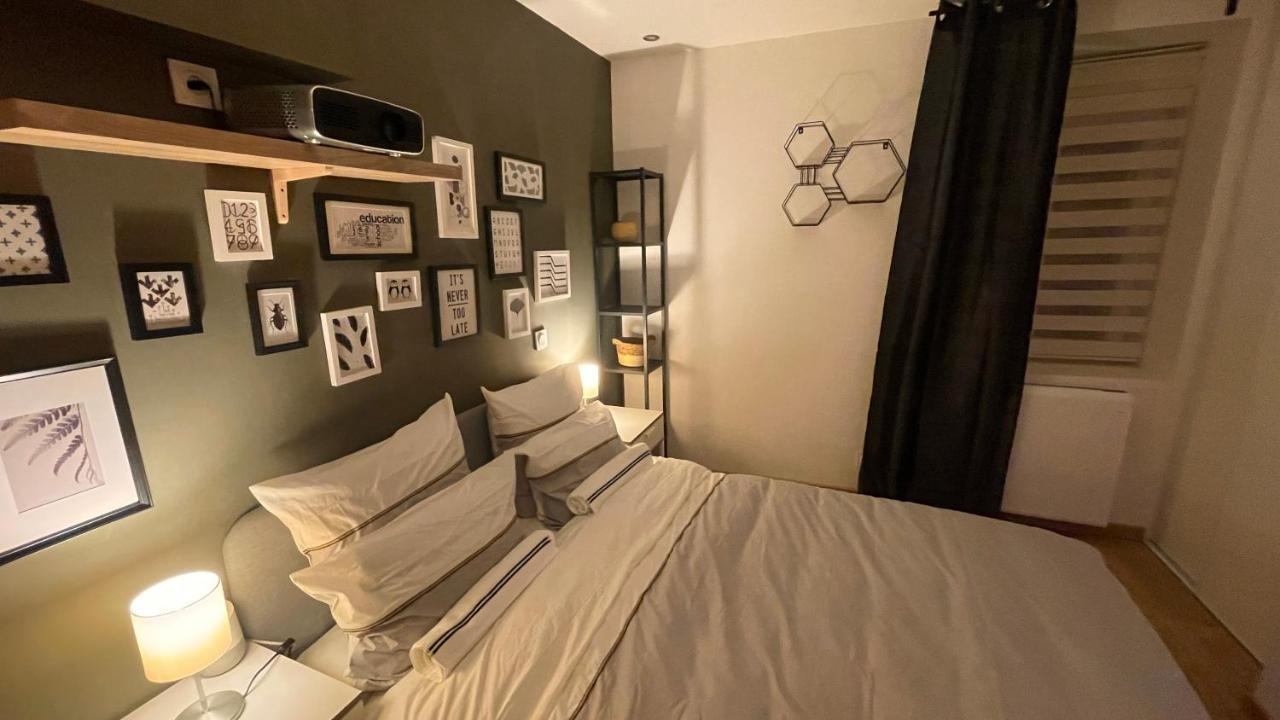 Mille Et Une Nuit, Appartement Classe 3 Etoiles En Rdc Avec Exterieur Et Parking Dole Eksteriør billede