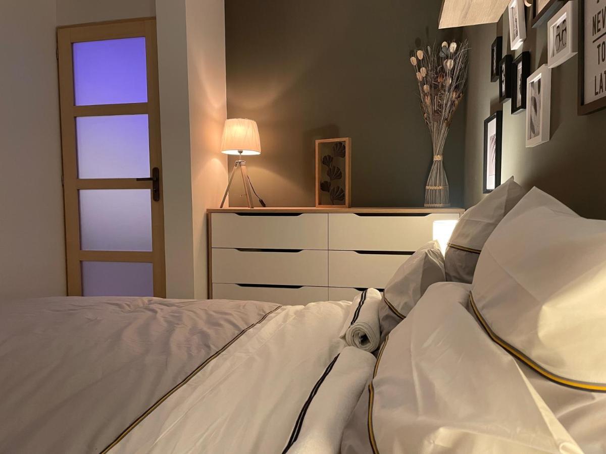 Mille Et Une Nuit, Appartement Classe 3 Etoiles En Rdc Avec Exterieur Et Parking Dole Eksteriør billede